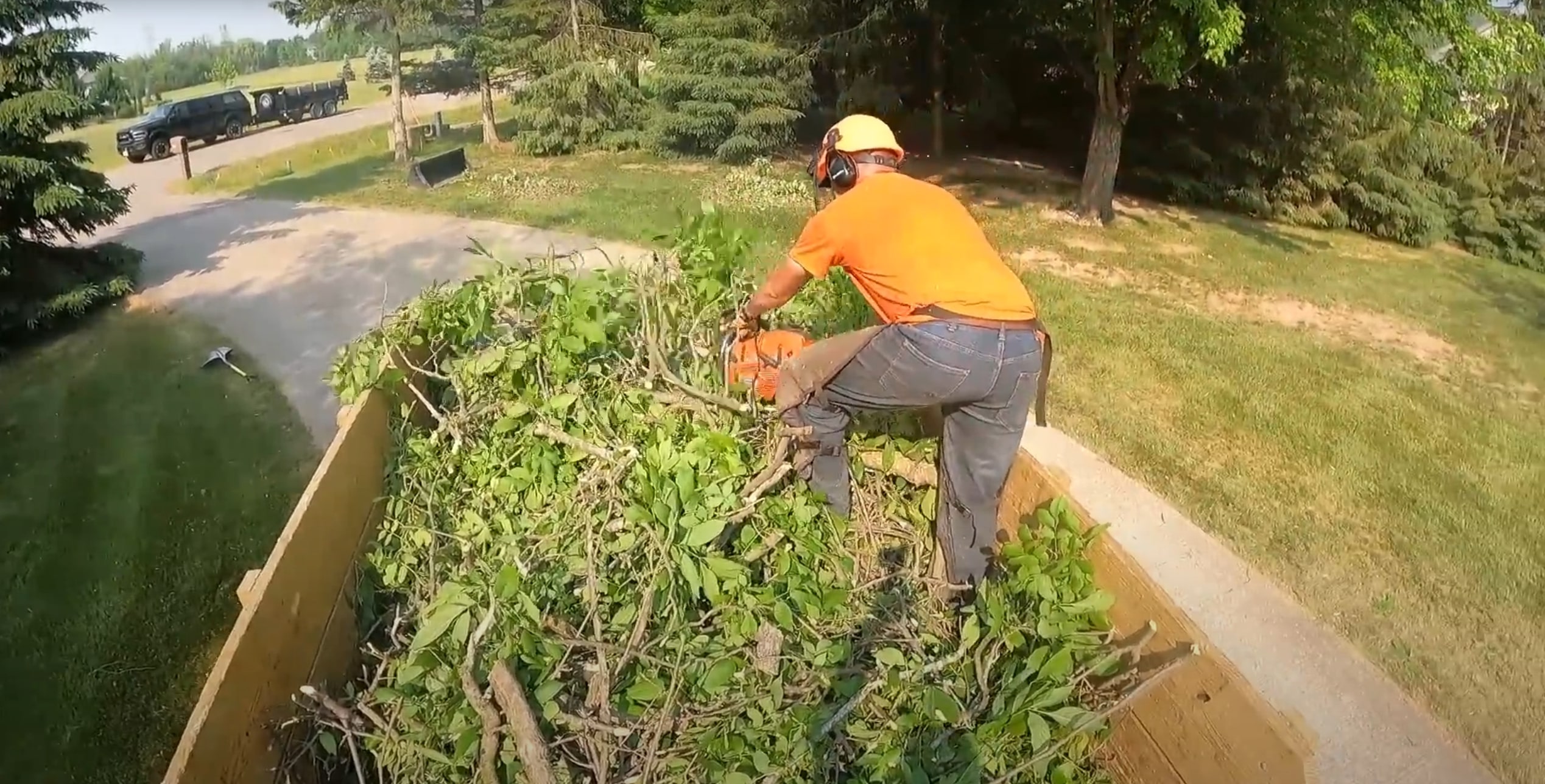 Arborist Consulting service in Pico Rivera, CA